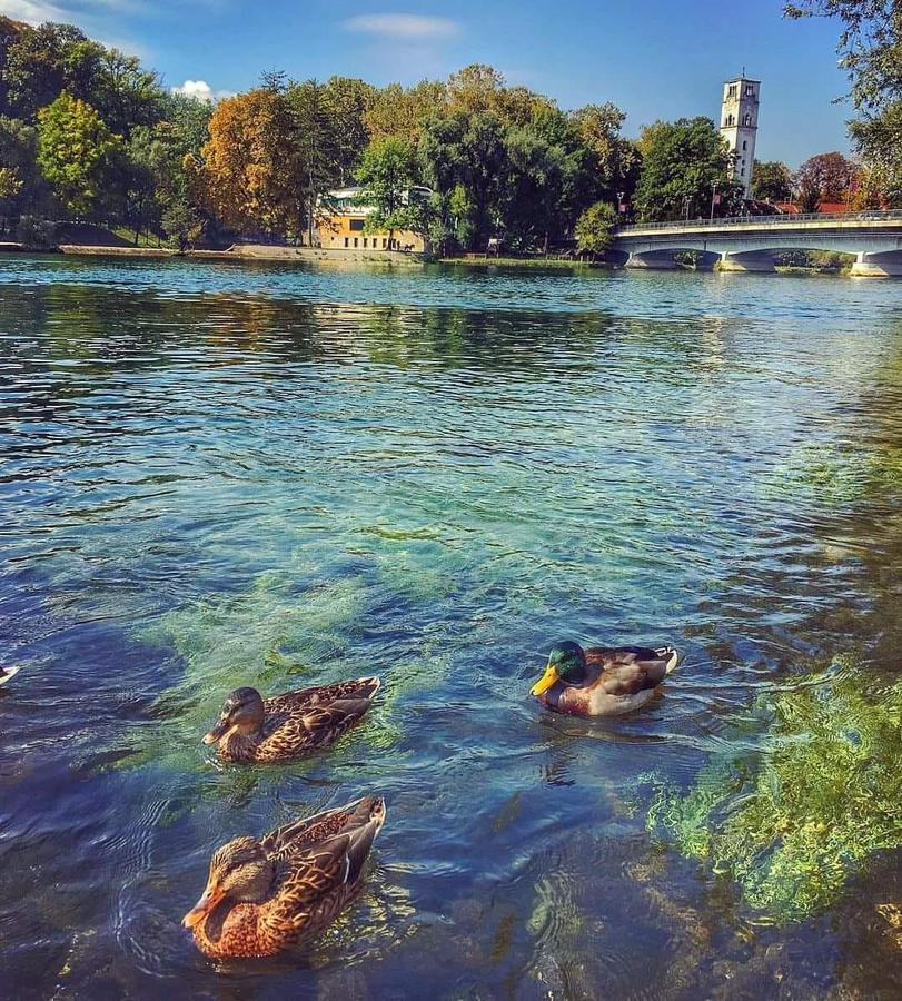 Apartman River Una Bihać Eksteriør bilde